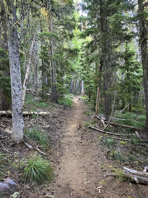 Obsidian Trail